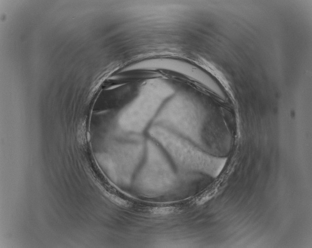 X0000072540105200608041632