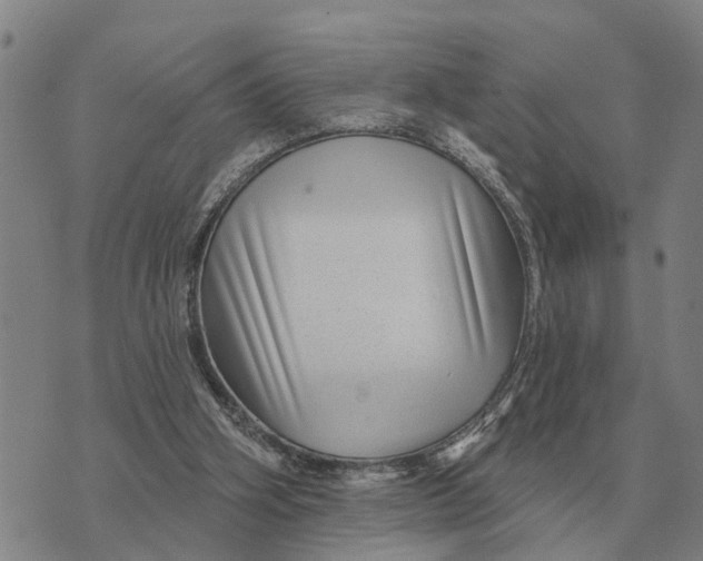 X0000072540106200608041632