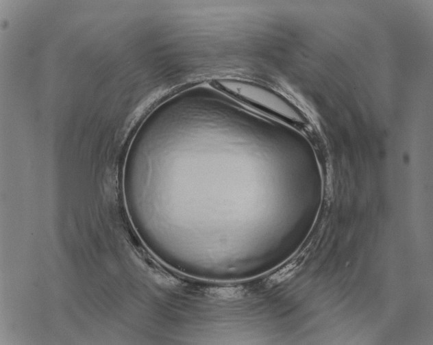 X0000072540107200608041632