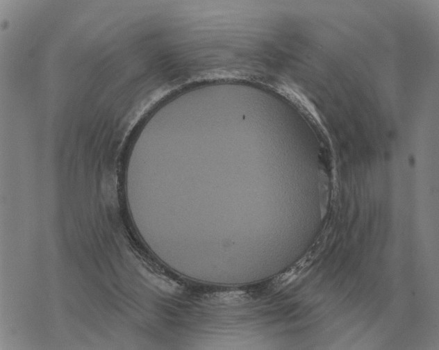 X0000072540108200608041632