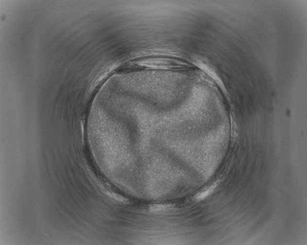 X0000072540109200608041632