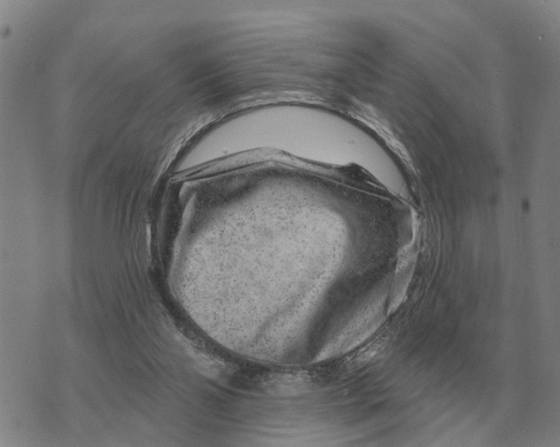 X0000072540110200608041632