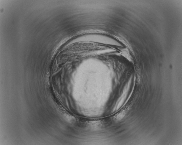 X0000072540111200608041632