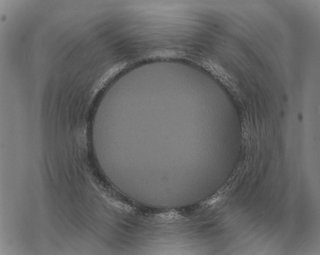 X0000072540112200608041632