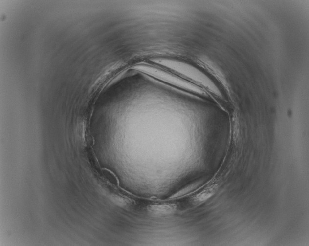 X0000072540115200608041632