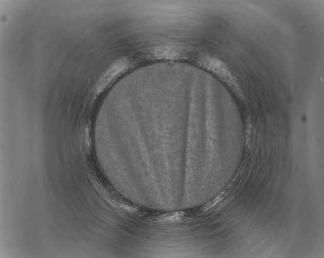 X0000072540116200608041632