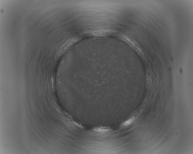 X0000072540117200608041632