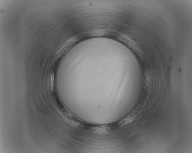 X0000072540118200608041632