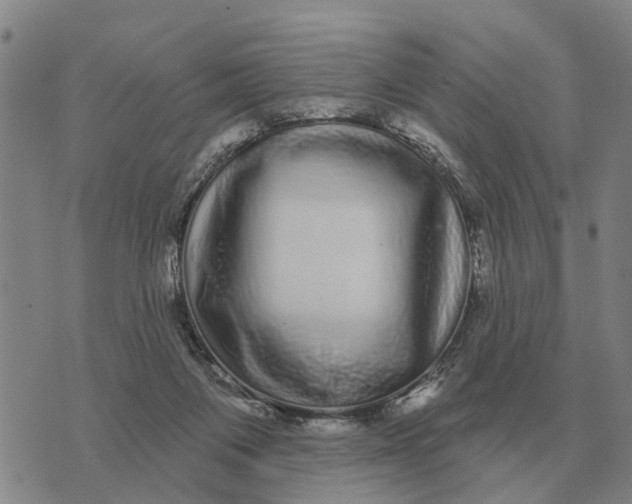 X0000072540119200608041632