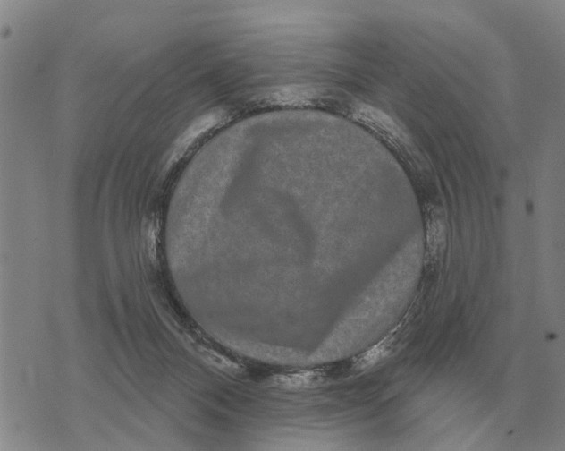 X0000072540120200608041632