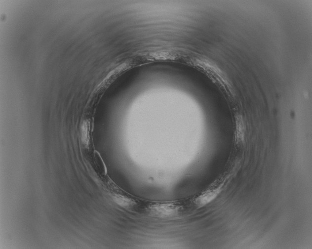 X0000072540121200608041632