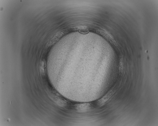 X0000072540122200608041632