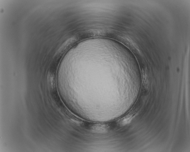 X0000072540123200608041632