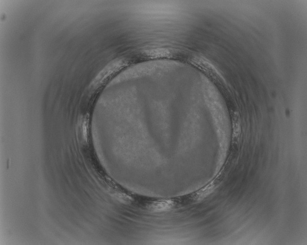 X0000072540124200608041632