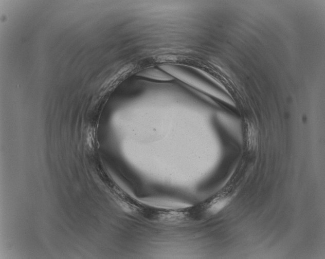 X0000072540125200608041632