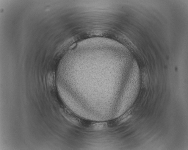 X0000072540126200608041632