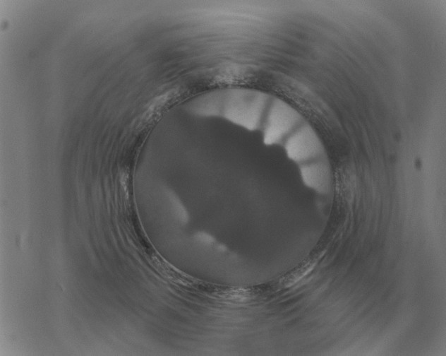 X0000072540127200608041632