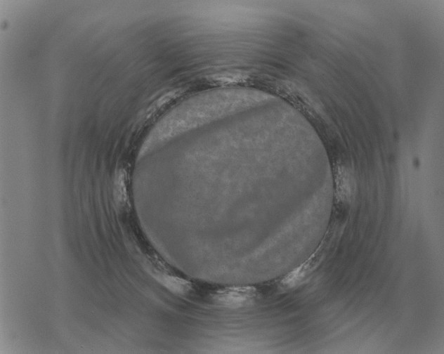 X0000072540128200608041632