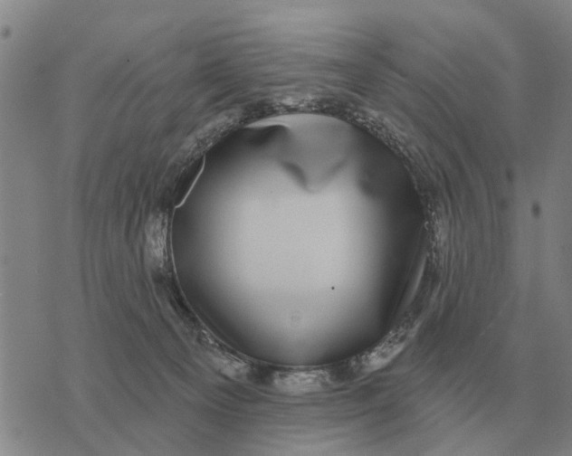 X0000072540129200608041632