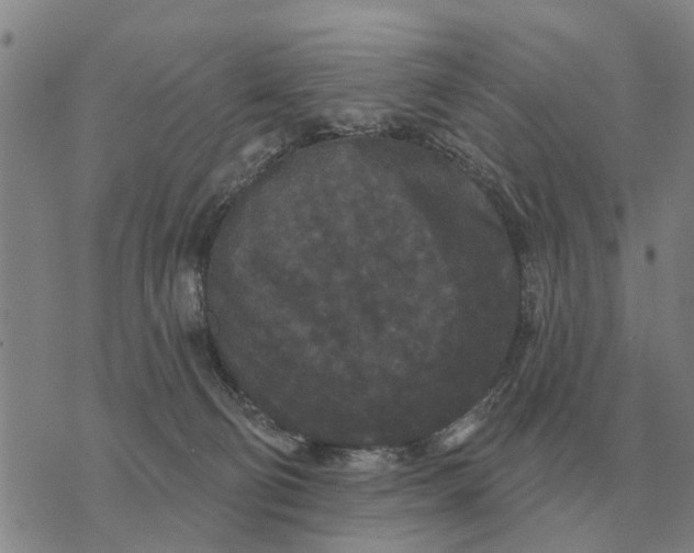 X0000072540130200608041632