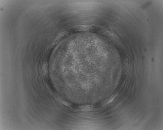 X0000072540131200608041632