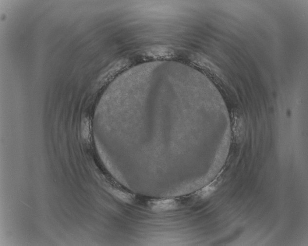 X0000072540132200608041632