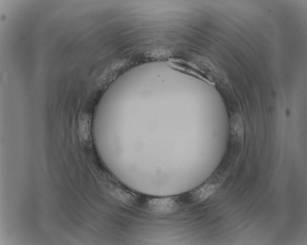 X0000072540133200608041632