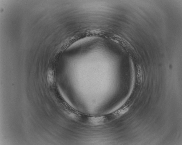 X0000072540135200608041632