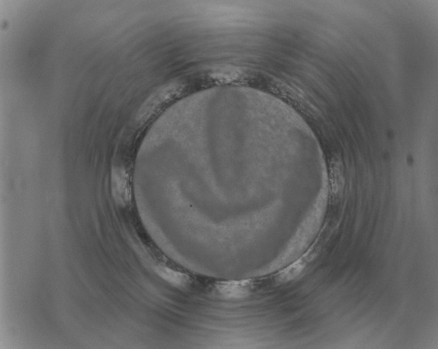 X0000072540136200608041632