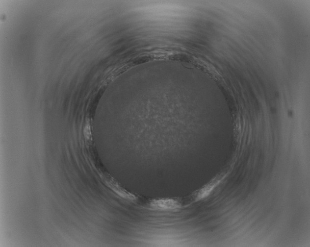 X0000072540137200608041632