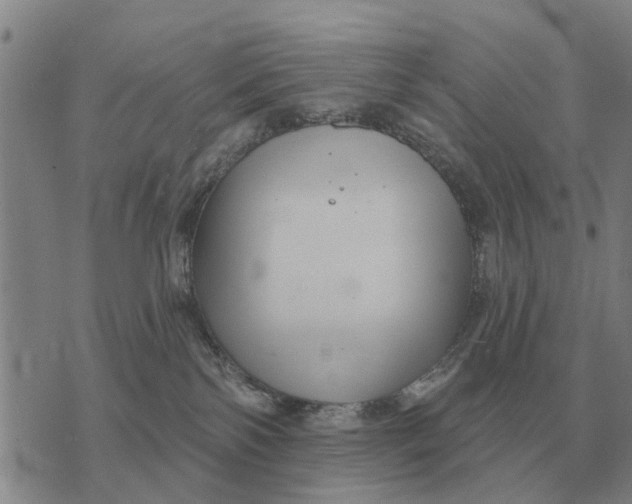 X0000072540138200608041632