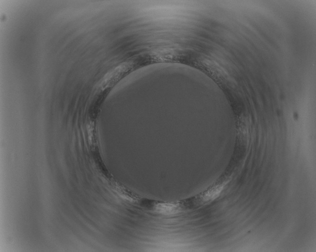 X0000072540139200608041632