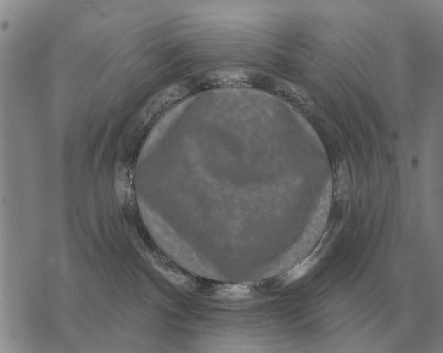 X0000072540140200608041632