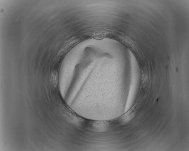 X0000072540142200608041632