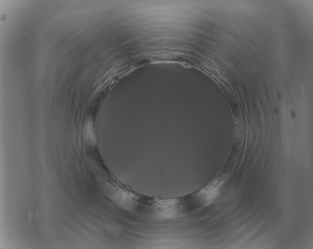 X0000072540143200608041632