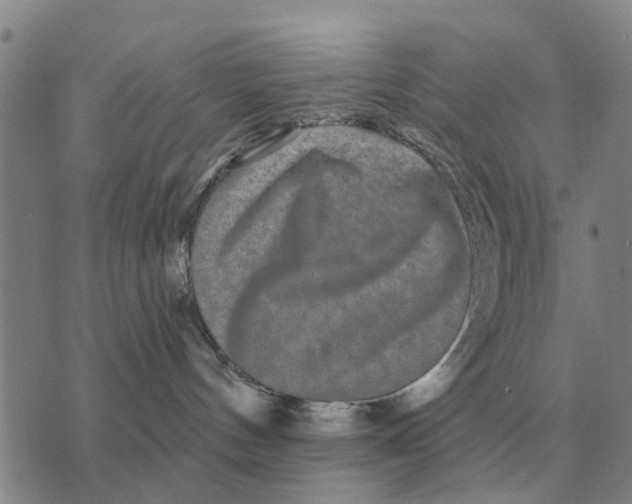 X0000072540144200608041632