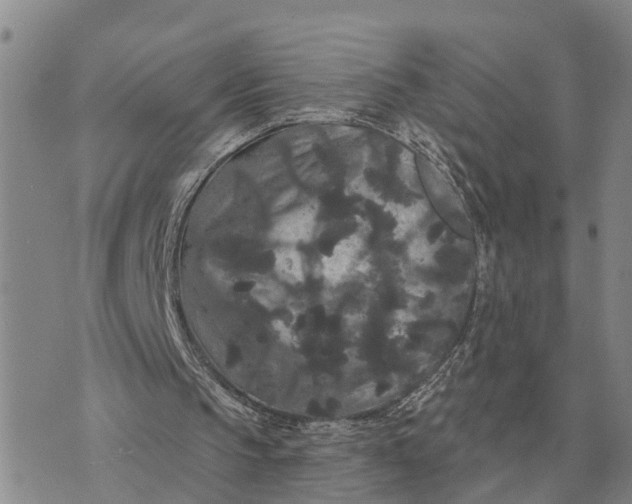 X0000072540145200608041631