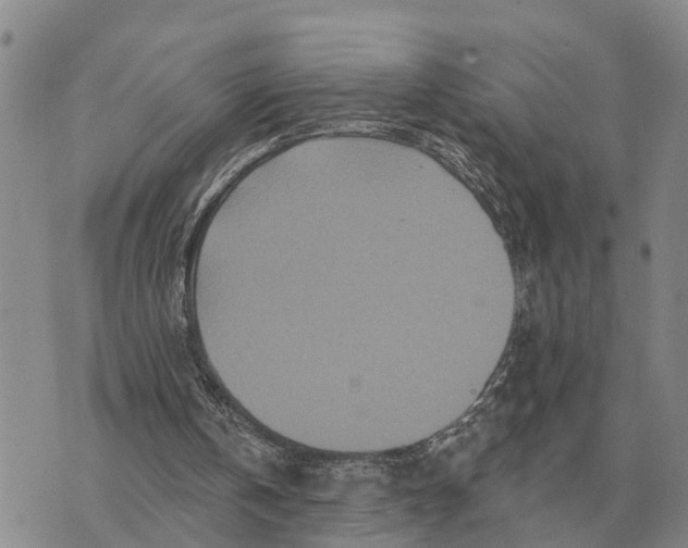 X0000072540146200608041631