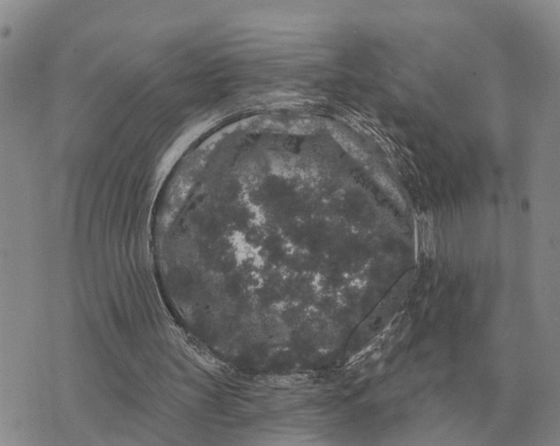 X0000072540147200608041631