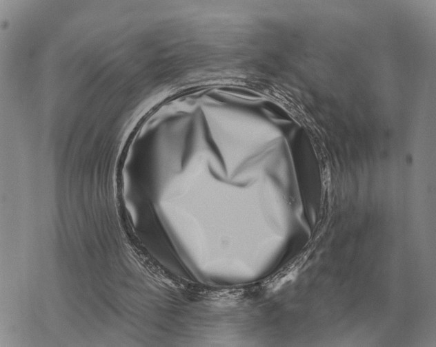 X0000072540148200608041631