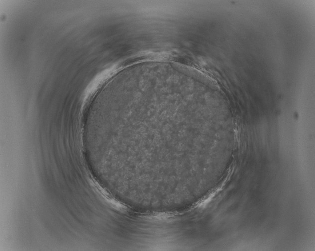 X0000072540149200608041631