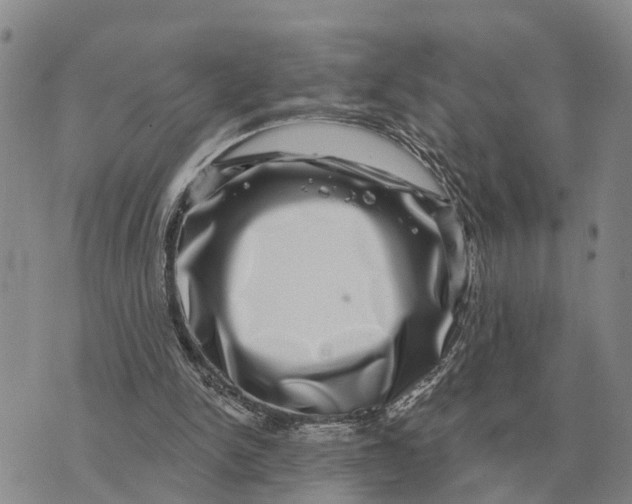 X0000072540150200608041631