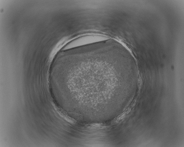 X0000072540151200608041631