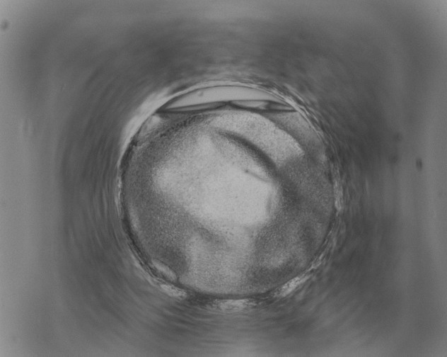 X0000072540152200608041631