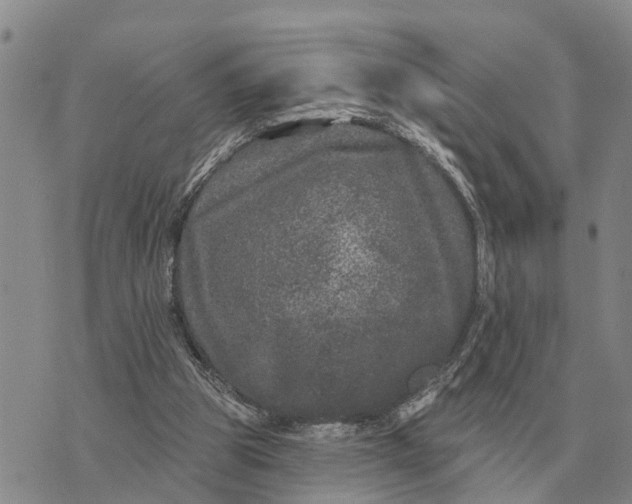 X0000072540153200608041631