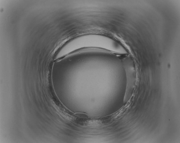 X0000072540154200608041631