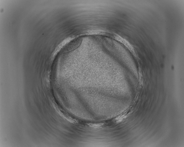 X0000072540155200608041631