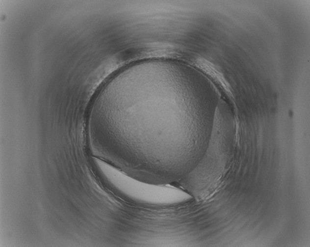 X0000072540156200608041631