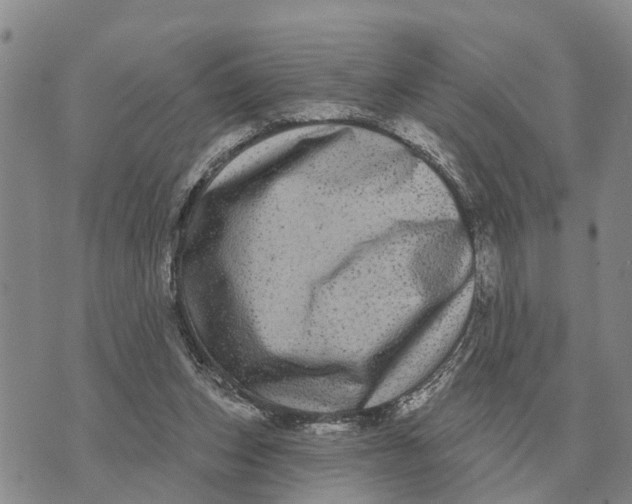 X0000072540159200608041631