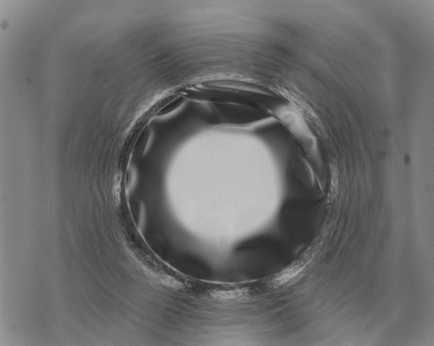 X0000072540160200608041631